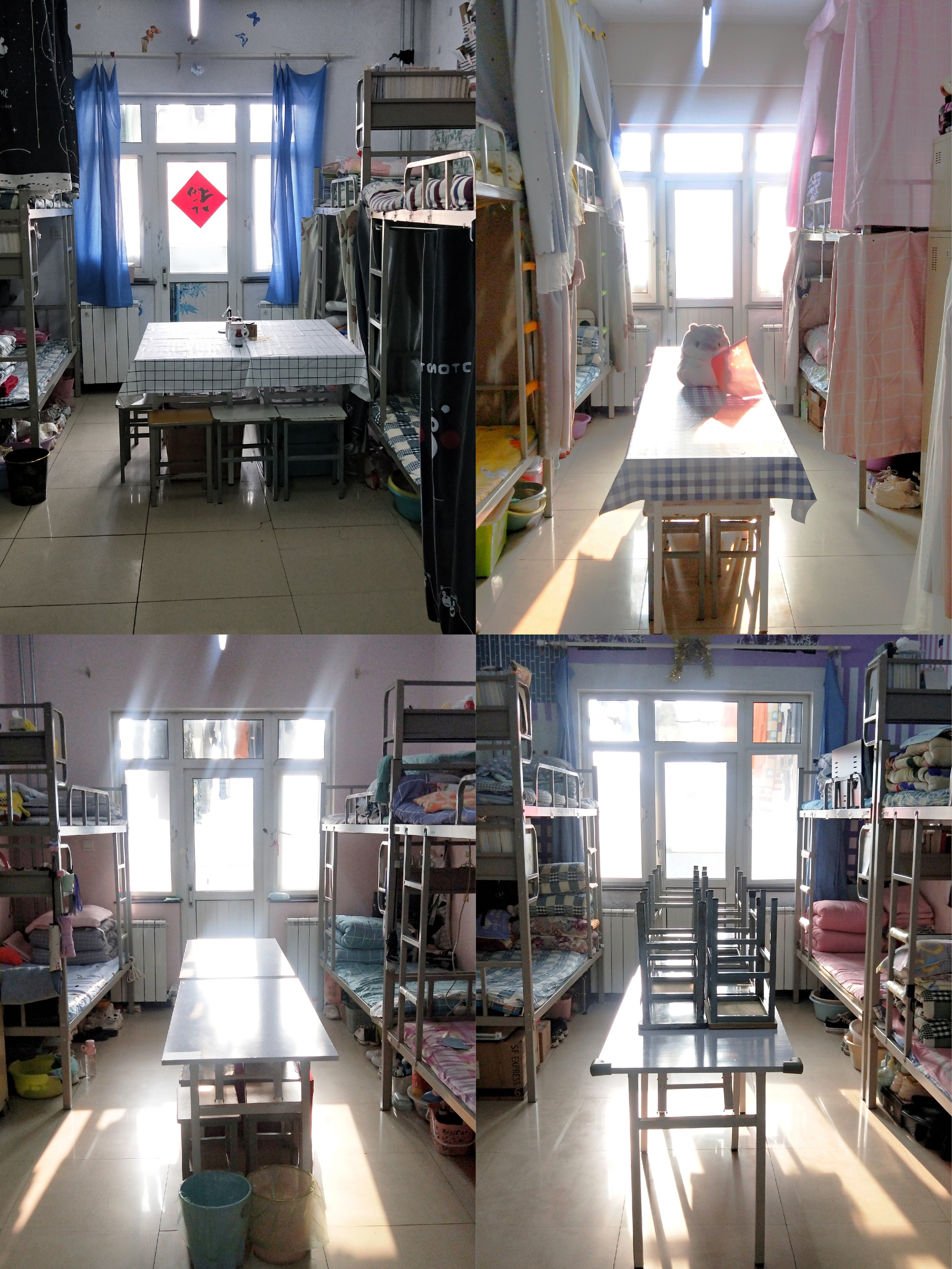 基础医学院2019级学生党支部开展"防疫有我 爱卫同行 劳动光荣"主题大